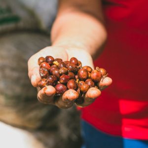Sudan Rume Natural | Sabores - Flavours of Colombia