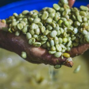 Coffee Culturing | Sabores - Flavours of Colombia