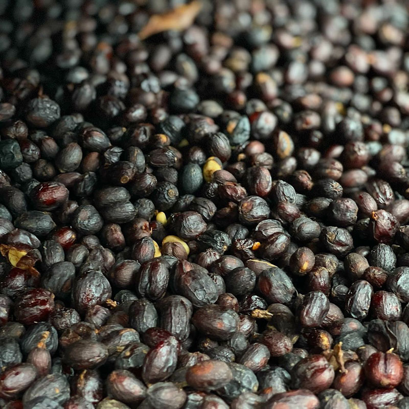 Striped Bourbon Dark Room Natural | SABORES
