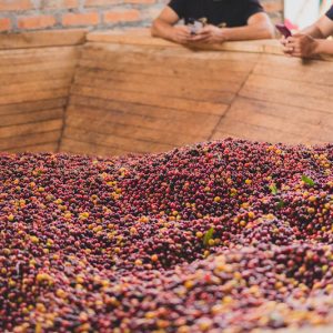 Zarza | Sabores - Flavours of Colombia