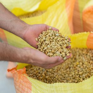 Yellow Papayo Washed | Sabores - Flavours of Colombia